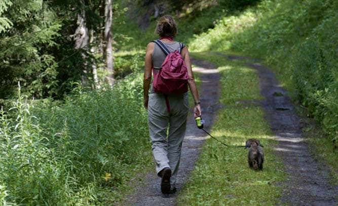 Warum Frau mit Hund in der Mitte läuft …