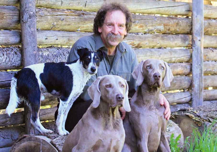Hilfe, mein Hund jagt! – Der Weg zum verlässlichen Begleiter