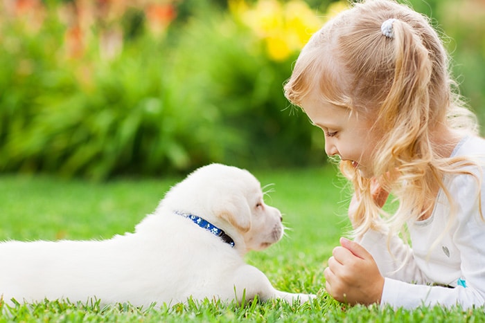Unfallprävention bei Kindern im Umgang mit Hunden