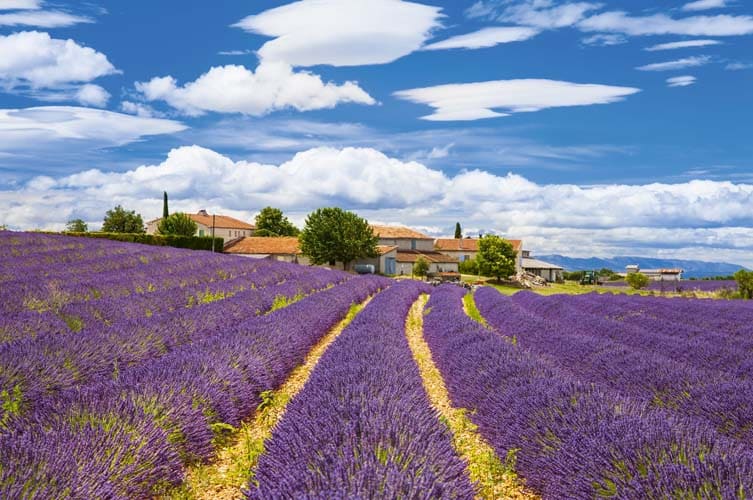 Bienvenue en France – Urlaub mit Hund in Frankreich nur bedingt empfehlenswert – Urlaub mit dem Hund in Frankreich