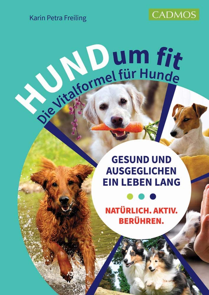 dogodu Buchtipps