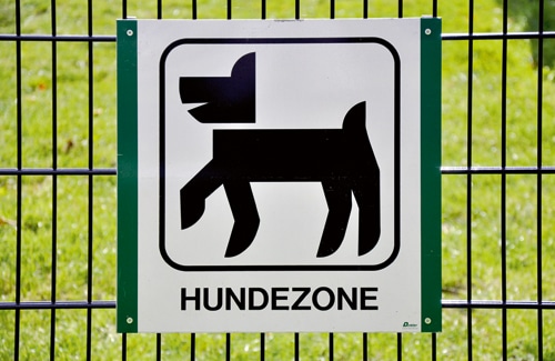 Hunde-Auslaufzone – Mehr Schaden als Nutzen?