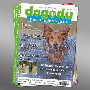 dogodu Heft-Abo