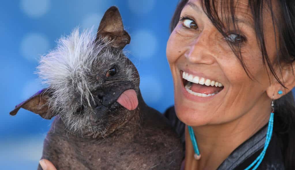 Mischling Mr. Happy Face zum hässlichsten Hund der Welt gekürt