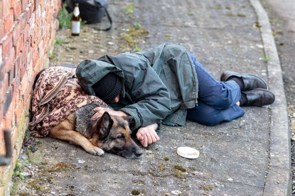 Die dunkle Seite der Mensch-Hund-Beziehungen