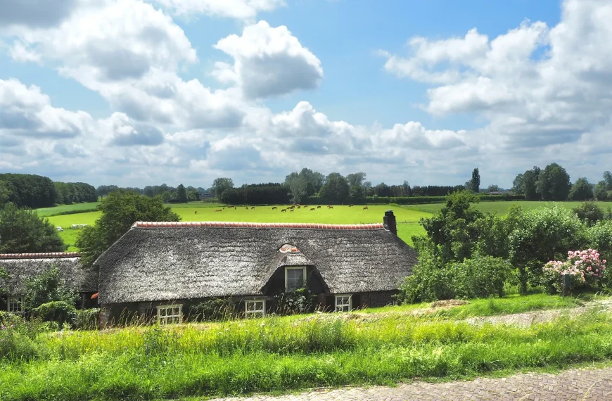 Holland mit Hund: Eine Reise wert?