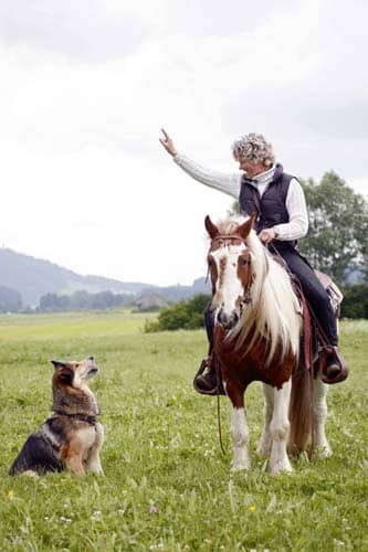 Horse and Dog Trail – Teambildung auf 10 Beinen