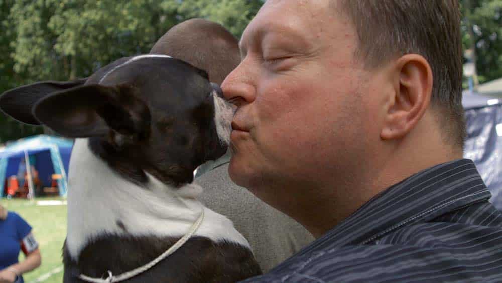 Sie leben in einer Hundewelt