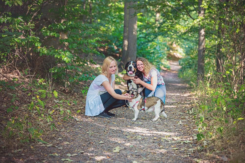 Reha mit Hund: Die Inselsberg Klinik macht‘s möglich
