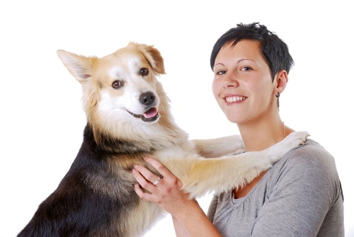 Stimmungsübertragung zwischen Mensch und Hund