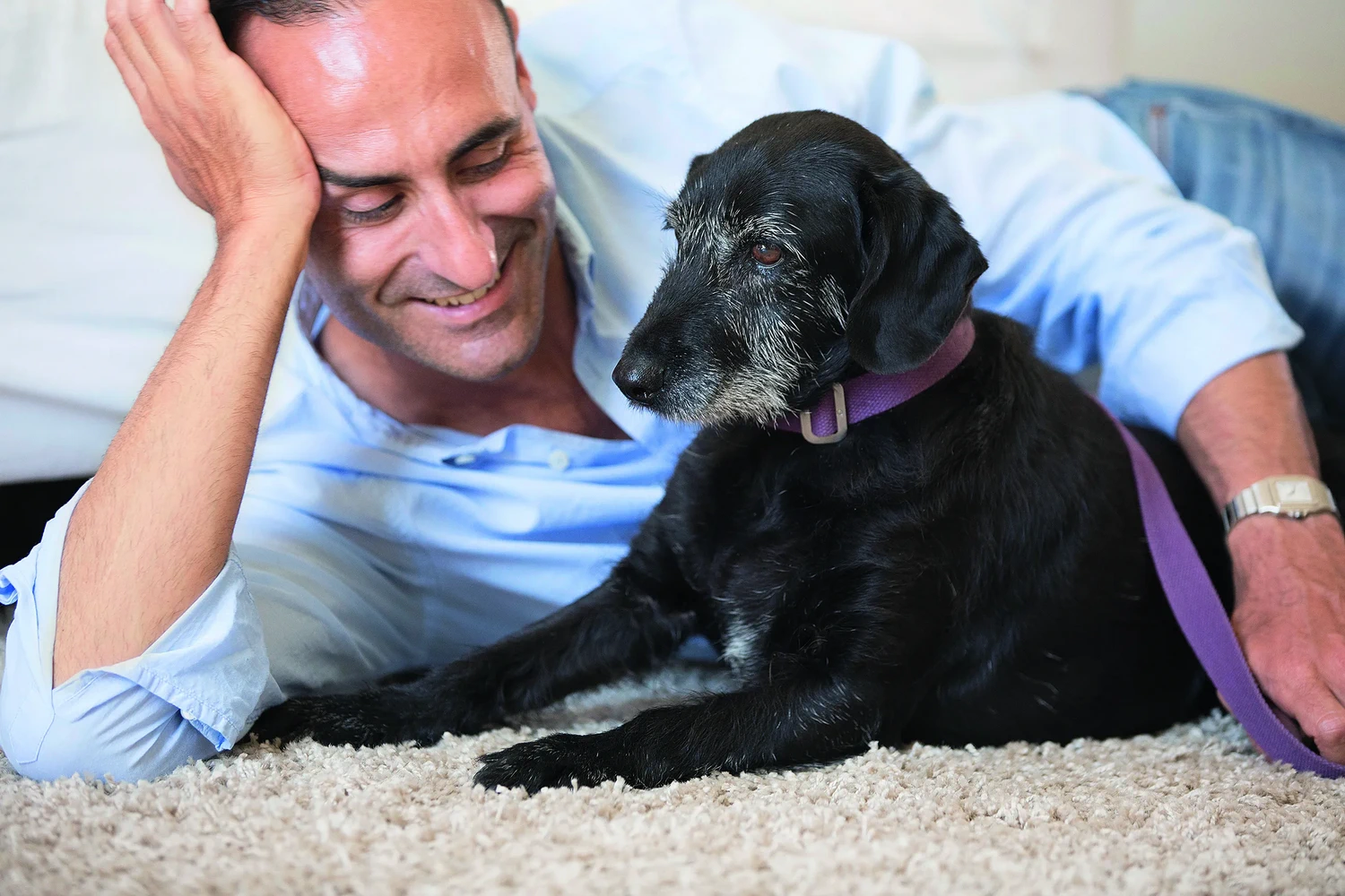 Wie Hunde ihre Halter verstehen