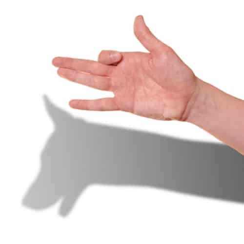 Hunde als Projektions­flächen von Menschen