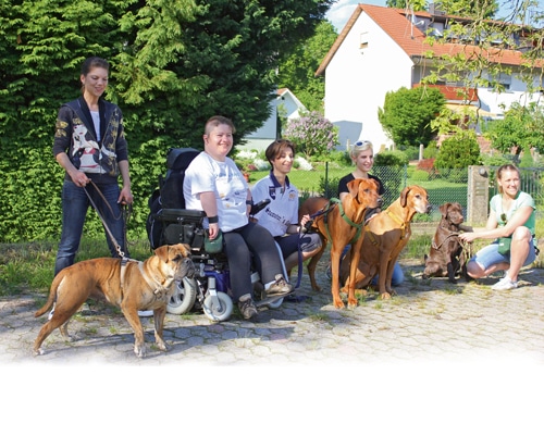 Hundetrainerin im Rollstuhl: Nicht auf die Beine, sondern auf den Verstand kommt es an – Auf den Hund gekommen …