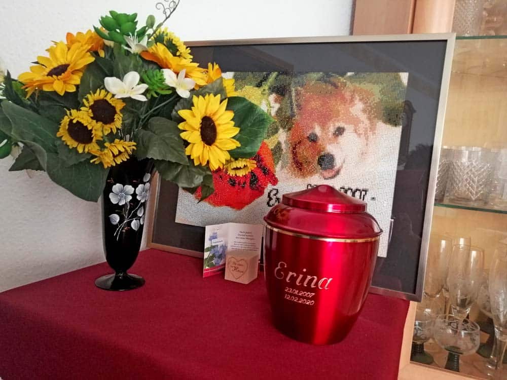 Bis über den Tod hinaus … am liebsten gemeinsam