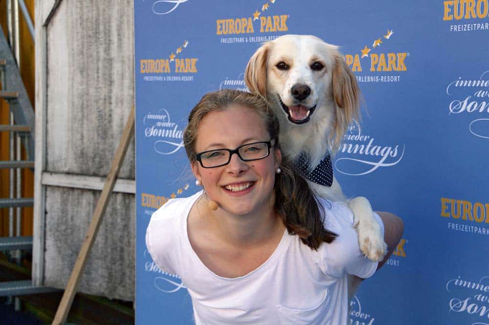 Vom Straßenhund zum Fernsehstar