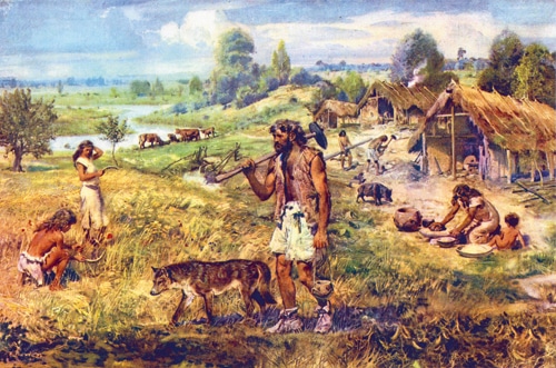Die gemeinsame Evolution von Mensch & Hund: – Auch beim Futter …