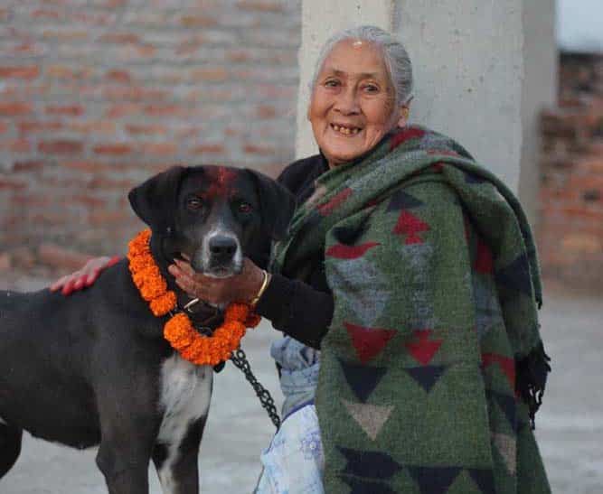 Hundefest in Nepal: Einmal im Jahr dreht sich alles um die Hunde