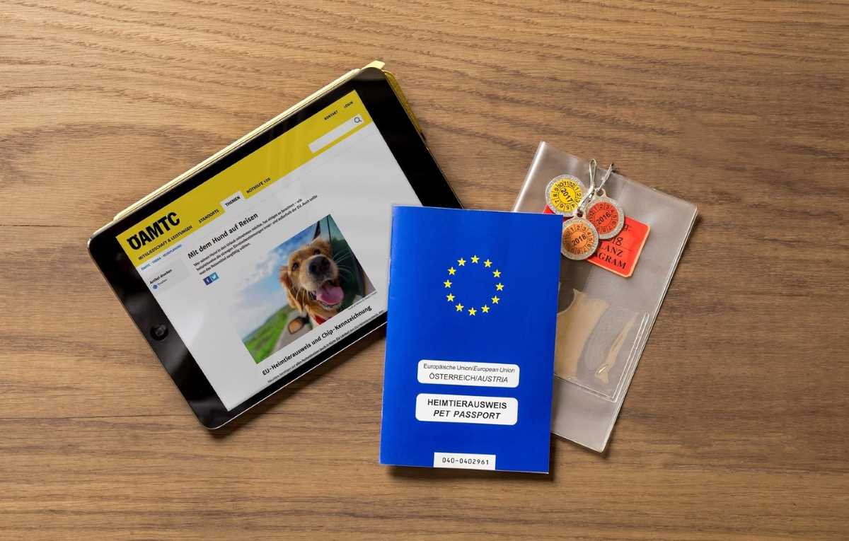 Reisetipps vom ÖAMTC: Mit Hund in den Urlaub