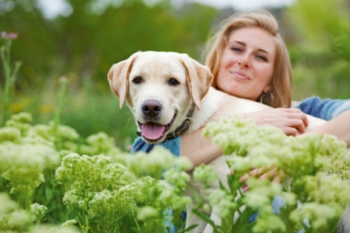 Der Hund: Objekt der Liebe und des Hasses