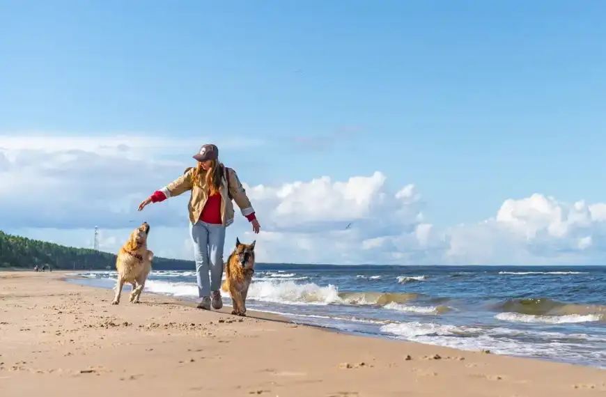 Ostsee oder Nordsee mit Hund?