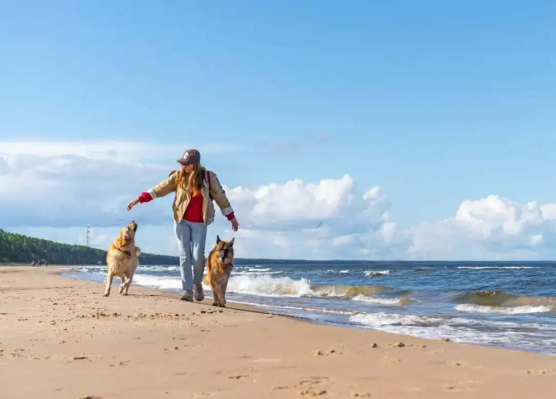 Ostsee oder Nordsee mit Hund?
