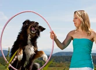 Die 10 besten Outdoor-Beschäftigungs-Tipps für Ihren Hund