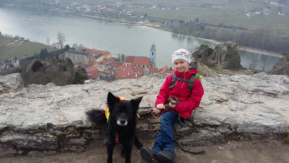 Mit Hund in die Wachau