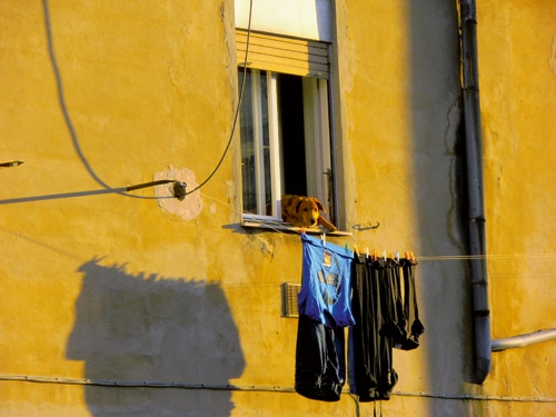 Campen mit Hund – über Landesgrenzen hinaus: Slowenien – Italien – Kroatien