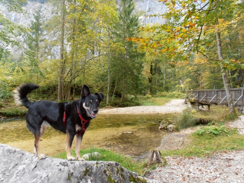 Ein Wochenende wie ein kleiner Urlaub …