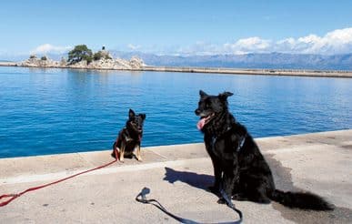 Urlaub mit Hund und Wohnmobil in Kroatien