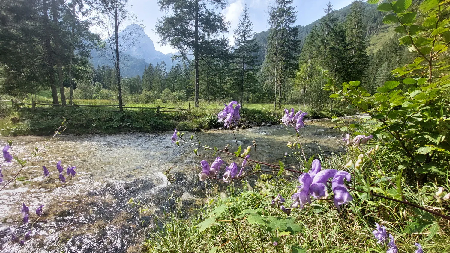 Schiederweiher – gemütliche Wanderung