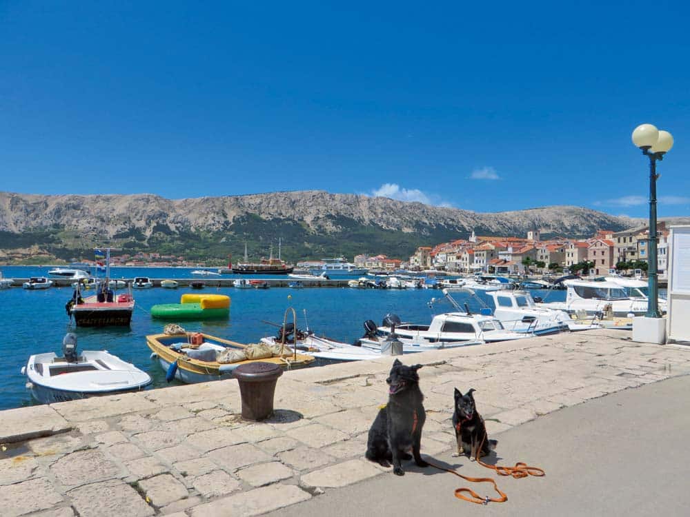 Nema Problema – Urlaub mit Hund in Kroatien