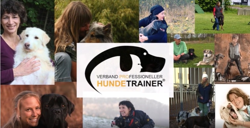 Hundeschulen und Hundetrainer*innen schlagen Alarm