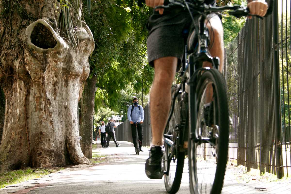 Hund lief an der Leine über Radweg: Biker verletzt