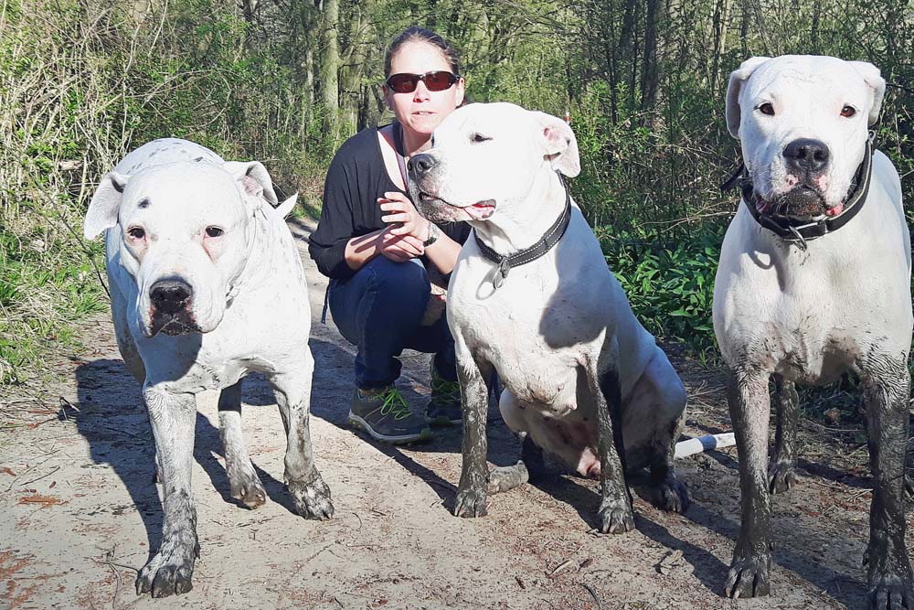 Der Hund macht den Feinschliff – Eine Alltagsgeschichte