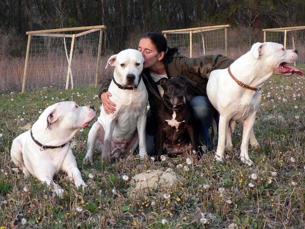 Hundehaltung – Einst und heute