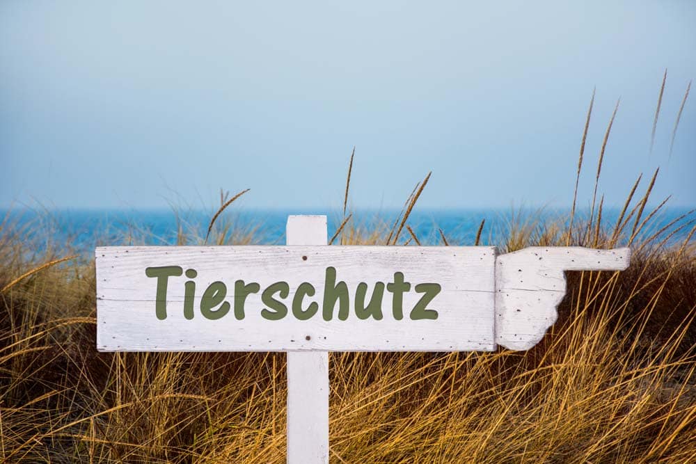 Die Tierschutz- Zwangs-Kastration beim Hund – Nicht mehr zeitgemäß!
