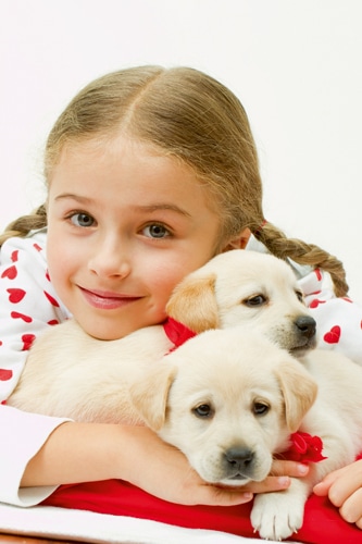 Kinder und Hunde