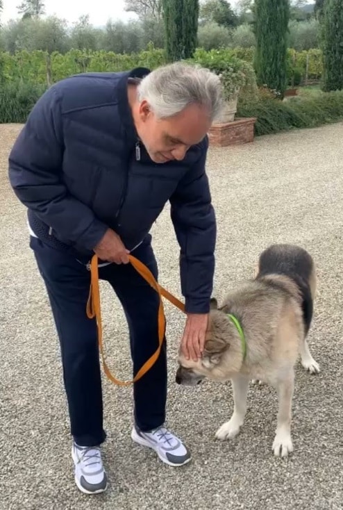 Bocelli adoptierte in der Ukraine verletzten Hund