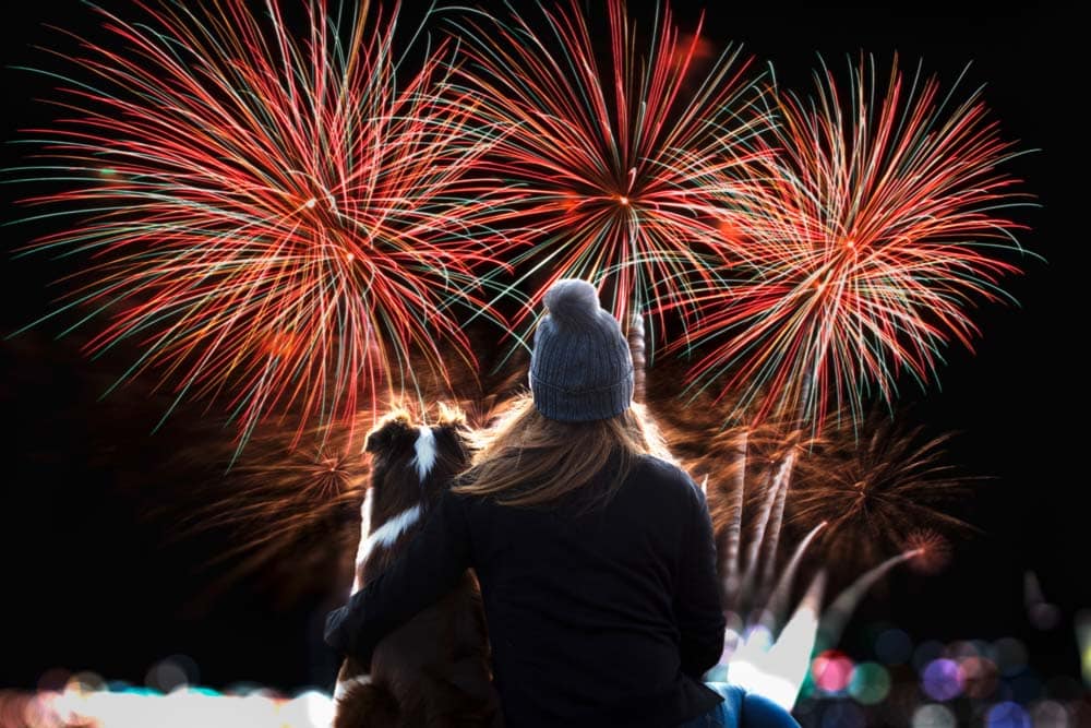 Schreckgespenst Silvester