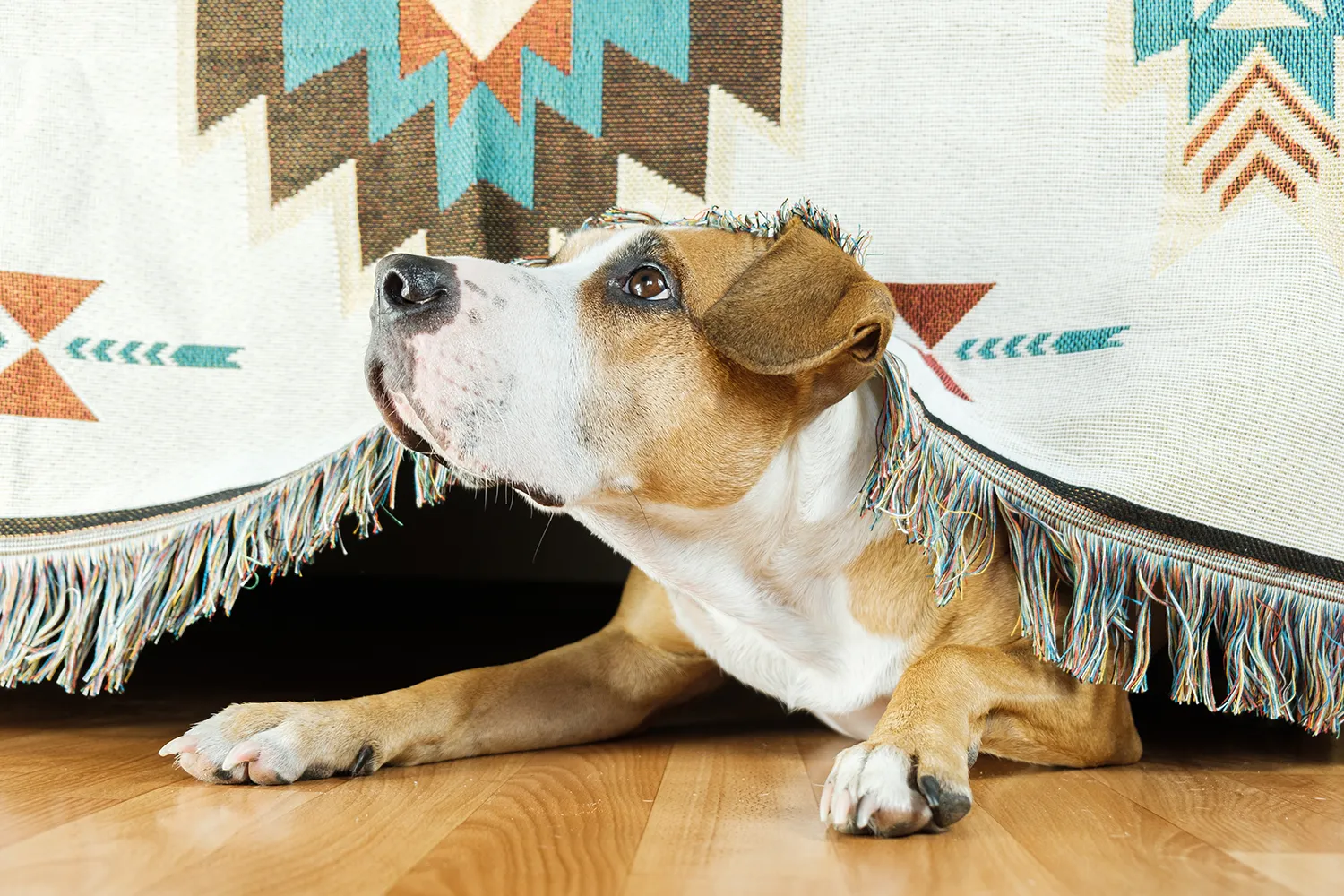 Tipps für einen entspannten Silvester