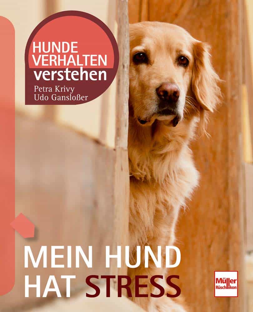 dogodu Buchtipps