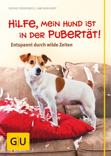 Wenn der Hund zum Teenie wird – Eine stürmische Phase gelassen meistern