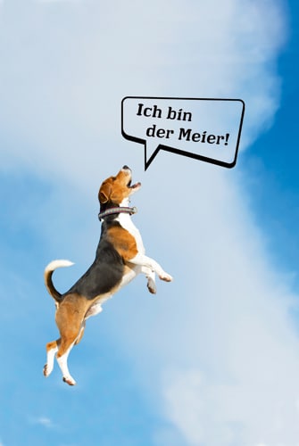 Schnüffeljournalist Meier – Namen sind nur Schall und Rauch?!