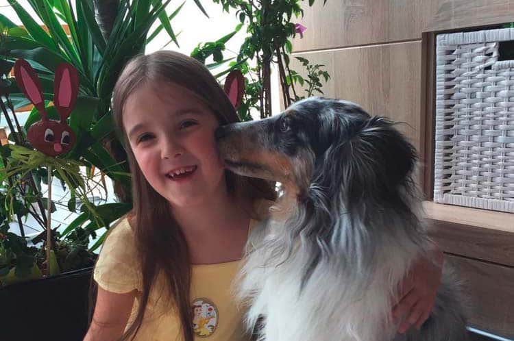 Helfende Hunde ganz persönlich