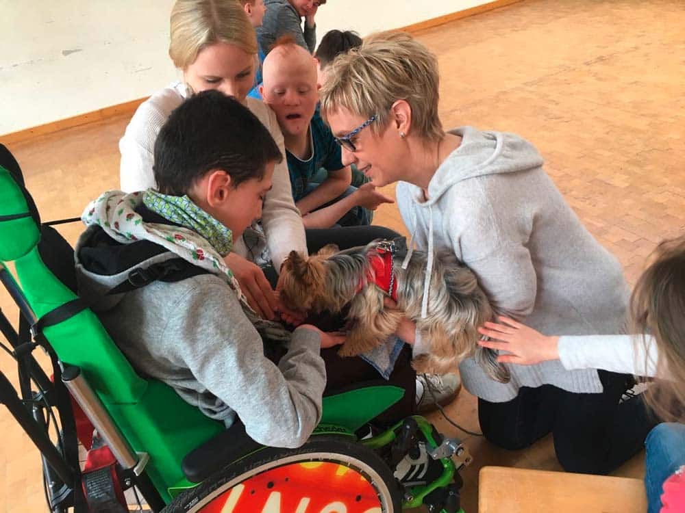 Helfende Hunde – ganz persönlich: Felia und Joshi, zwei kleine Hunde mit großen Herzen für Menschen