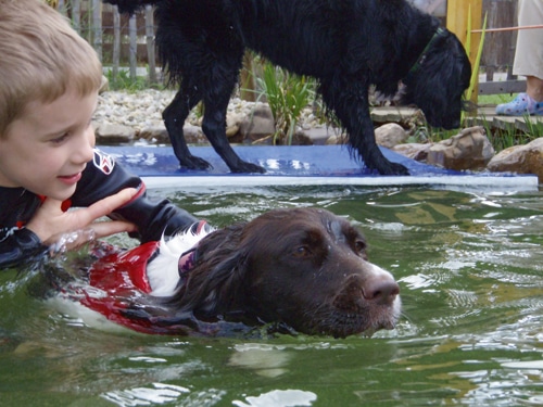 Wenn Hunde zu Therapeuten werden!