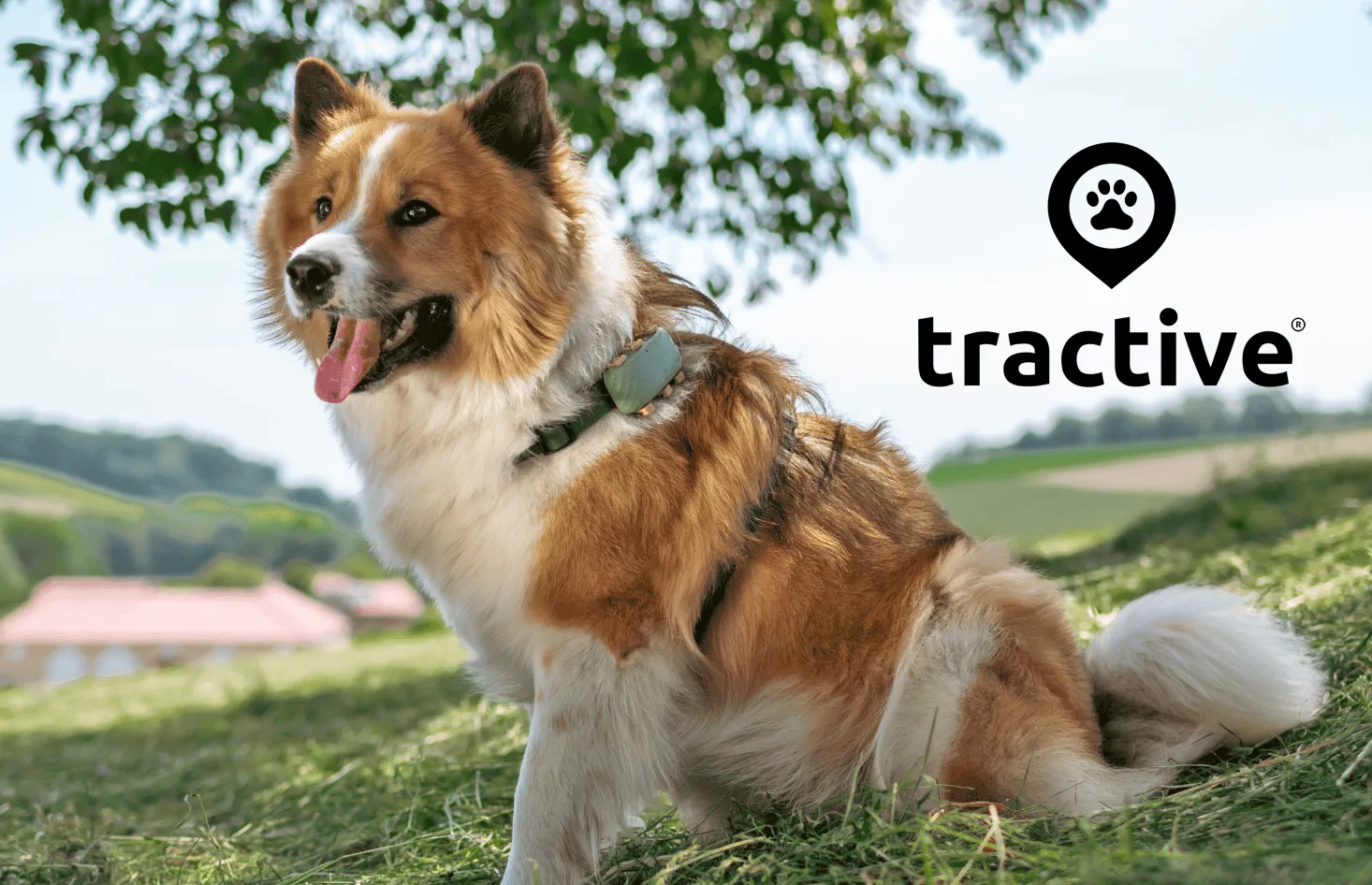 Tractive GPS-Tracker gratis