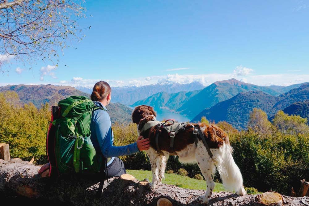 (Weit)Wandern mit Hund: Infos und praktische Tipps für Zwei- und Vierbeiner