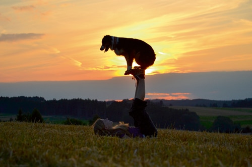 Gestatten – hier kommt Amy, das Trickdog-Girl –